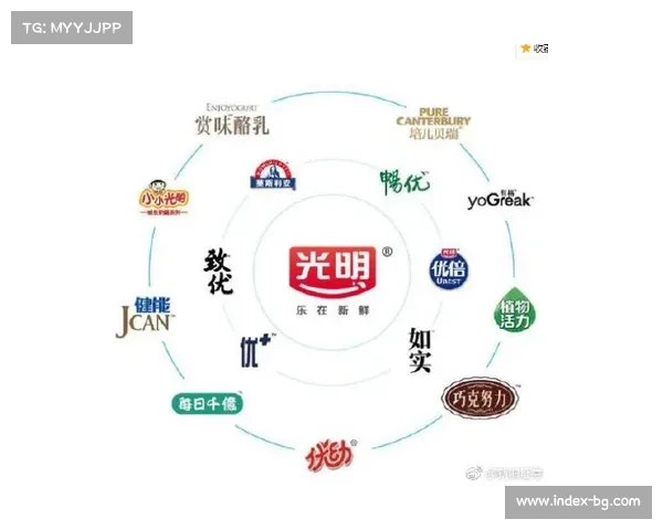 欧冠官方授权商品销量攀升助推零售渠道多元化发展